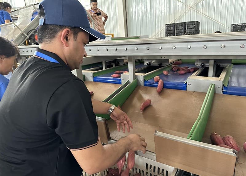 images/1690356765460la Misión Económica y Comercial de la Franja y la Ruta.jpg